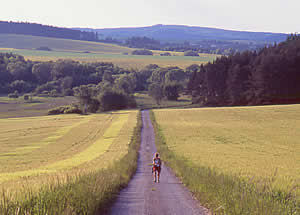 Prague Vienna Greenways